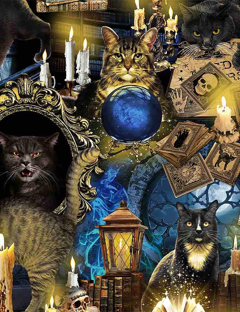 Mystical Spooky Black Cats