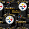 NFL Pittsburgh Steelers 14450-D