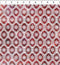 Nature's Winter - Snowflake Ogee - Red