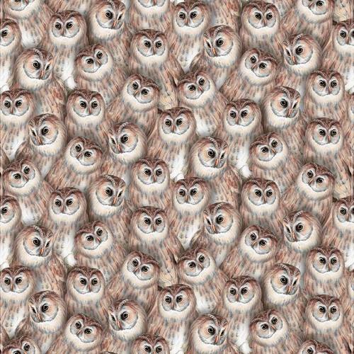 Night Owls - Owl Clutter - Taupe