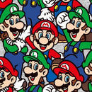 Nintendo Mario Luigi Packed