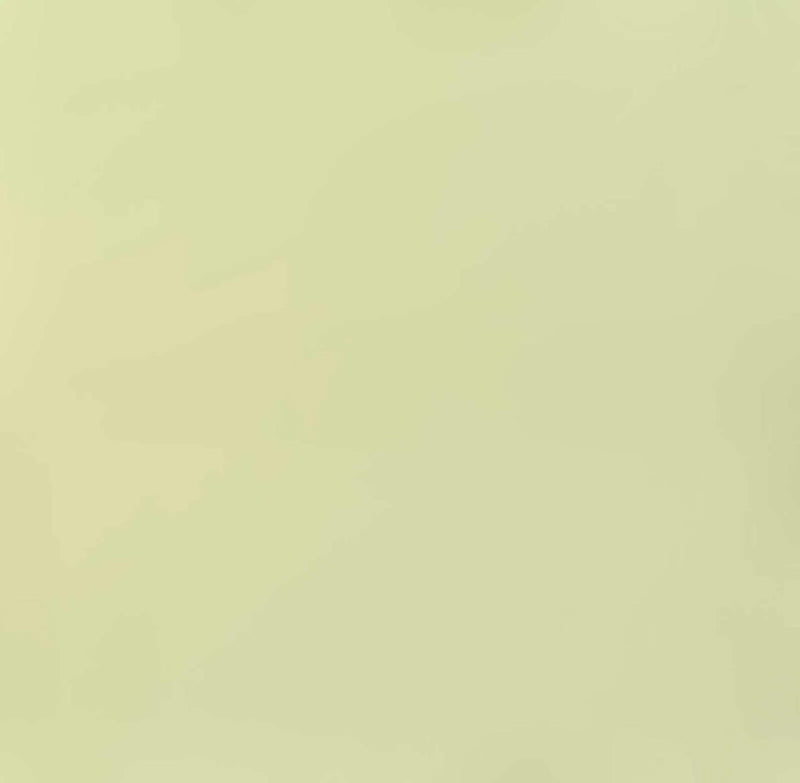 Oasis Solids - Pale Sage
