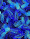 Royal Plume -  Packed Feathers Dotted - Blue