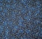 Shooting Stars 12552-N Navy