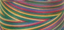 Signature Varigated Thread - Brights - Red, Blue Green, Yellow