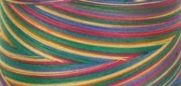 Signature Varigated Thread - Brights - Red, Blue Green, Yellow