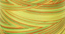 Signature Varigated Thread - Citrus - Yellow, Green, Orange