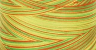 Signature Varigated Thread - Citrus - Yellow, Green, Orange
