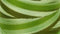 Signature Varigated Thread - Grassy Greens - Tone on Tone Greens