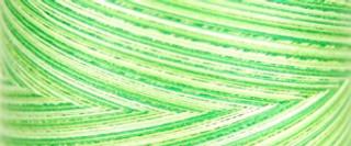Signature Varigated Thread - Spring Grass - Tone on Tone Bright Greens