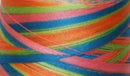 Signature Varigated Thread - Summery Fun - Pink, Blue, Green, Orange