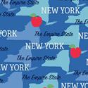 State Pride New York