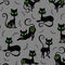 Trick or Treat - Black Cat Crossing Gray