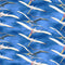 Tyranno-Chorus Flying Pteranodons Blue