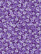 Utopia - Small purple metalllic flowers packed.