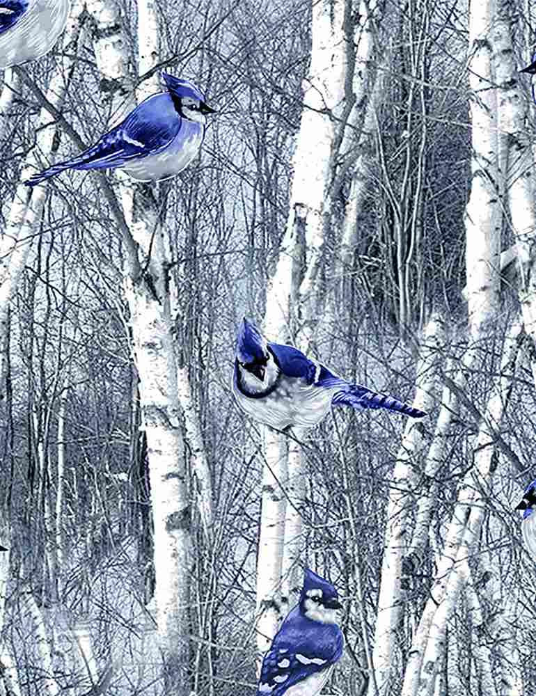 Winter Frost Winter Hike Blue Birds
