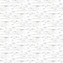 Winter White Birch Texture