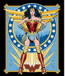 Wonder Woman Panel